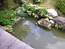 DSCN0288.JPG