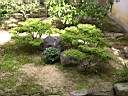 DSCN0295.JPG