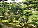 DSCN0306.JPG