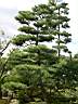 DSCN0307.JPG