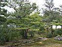 DSCN0308.JPG