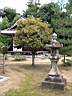 DSCN0331.JPG