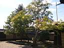 DSCN0361.JPG