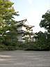 DSCN0438.JPG