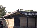 DSCN0441.JPG