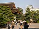 DSCN0445.JPG