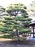 DSCN0446.JPG