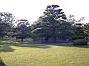 DSCN0448.JPG