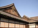 DSCN0450.JPG