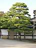 DSCN0458.JPG
