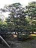 DSCN0459.JPG
