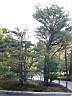 DSCN0463.JPG