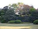 DSCN0465.JPG