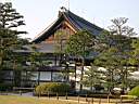 DSCN0466.JPG