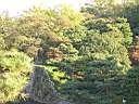 DSCN0471.JPG