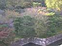 DSCN0473.JPG