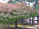 DSCN0477.JPG
