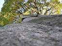 DSCN0479.JPG