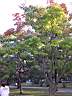 DSCN0486.JPG